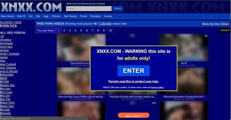 free porn proxy|Porn Proxies 